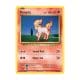 Ponyta - Common - Evolutions - 19/108 Pokemon Kartı