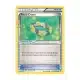 Floral Crown - Common - Generations - RC26/RC32 Pokemon Kartı