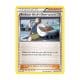Professor Birch's Observations - Uncommon - Primal Clash - 134/160 Pokemon Kartı